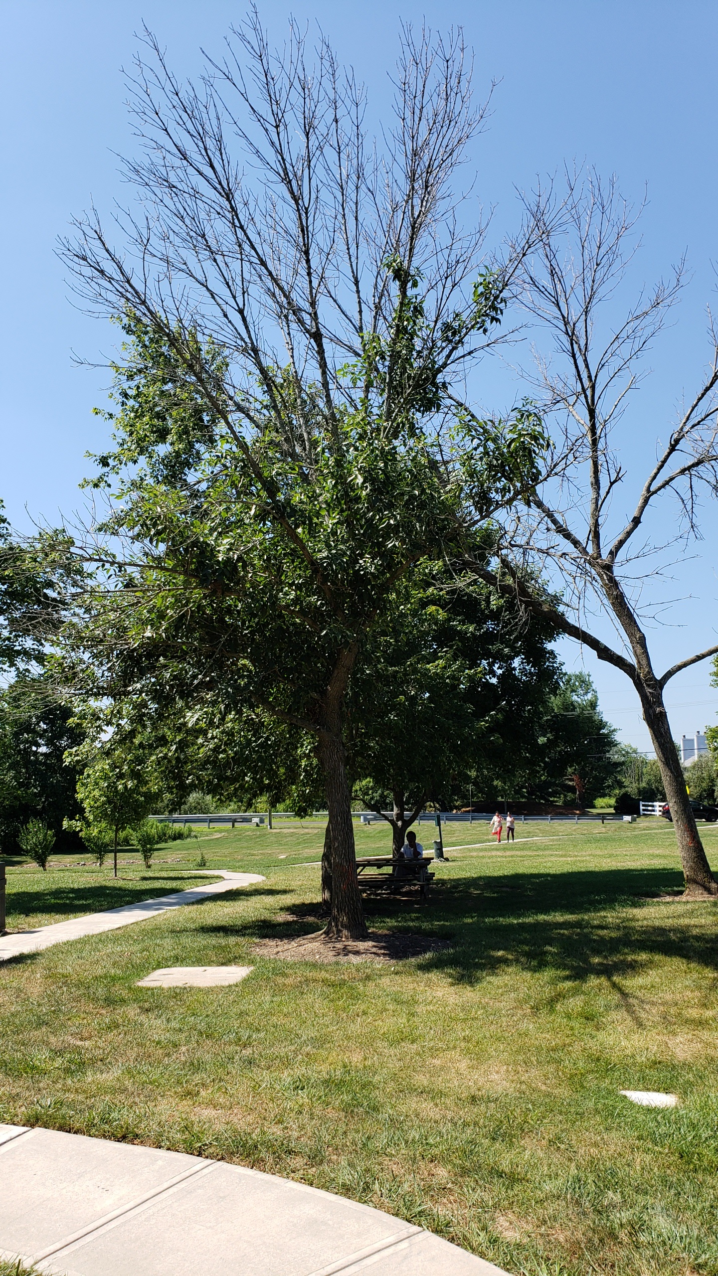 Ravens Crest East at Princeton Meadows Condos Luxury Condominiums